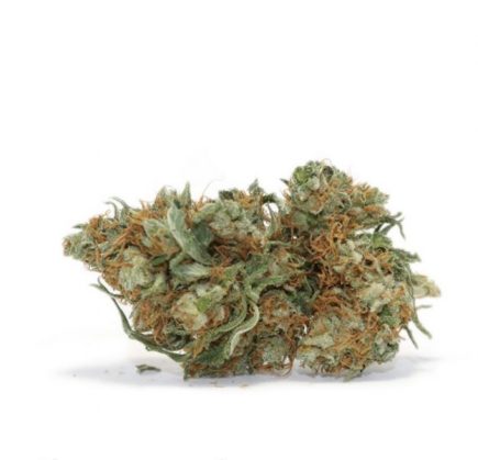 Restigouche Premium Flower Blue Dream Hybrid