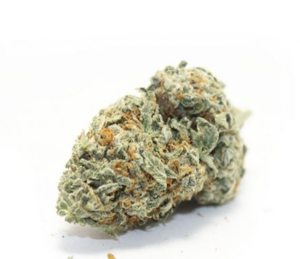 Restigouche Premium Flower Mint Cookies Hybrid