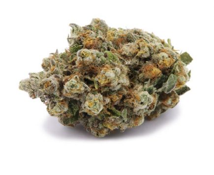 Restigouche Premium Flower Indica Pink Wedding Cake