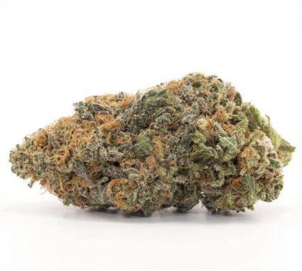 Restigouche Premium Flower Sativa Wedding Crasher