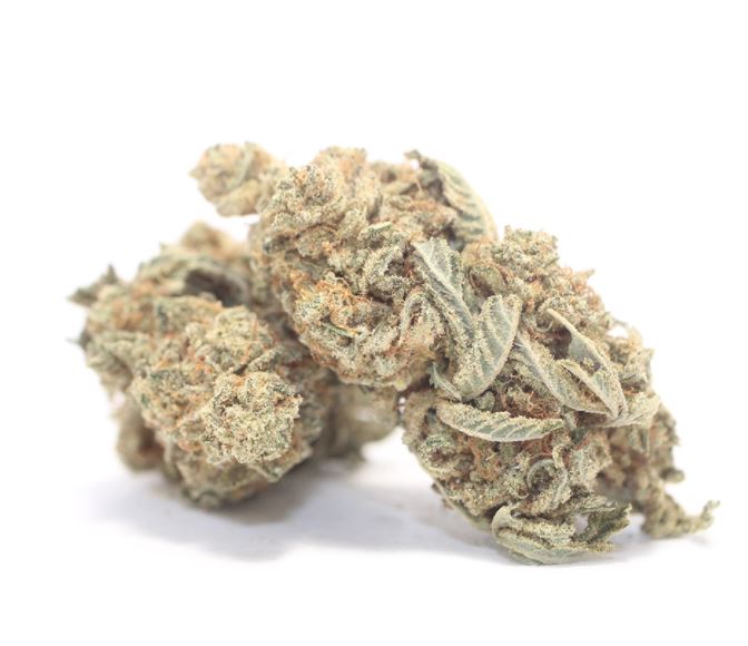 SOUR BUBBA