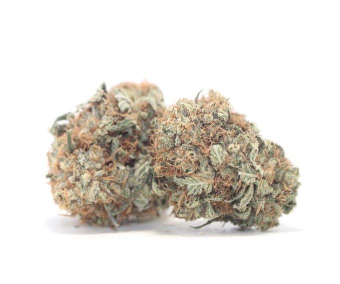 PINK HINDU KUSH